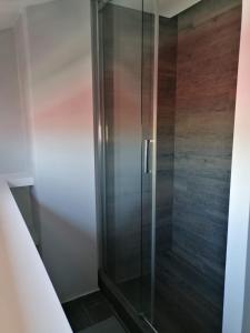 La salle de bains est pourvue d'une douche avec une porte en verre. dans l'établissement Gemelli Torrevecchia Apartment, à Rome