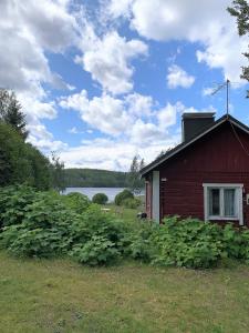 une maison rouge avec un champ de plantes devant elle dans l'établissement Lappalaisen lomamökit Pihamökki, à Puumala