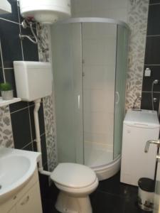 uma casa de banho com um WC, um chuveiro e um lavatório. em Apartment DREAMS em Sombor