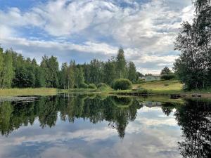 普马拉Lappalaisen lomamökit Pihamökki的天空中树木和云层的湖泊美景