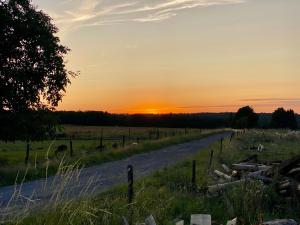 un chemin de terre avec le coucher du soleil en arrière-plan dans l'établissement Quiétude à la ferme, à Houdremont