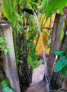una fuente de agua en un jardín con plantas en Pousada Raiz Forte, en Caraíva