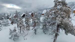 un gruppo di alberi ricoperti di neve con case di Les myrtilles La Pierre Saint Martin ad Arette Altre 22 foto