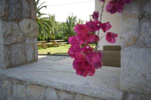 a bunch of pink flowers in a vase on a wall at Villa El Martín in Naves +28 photos