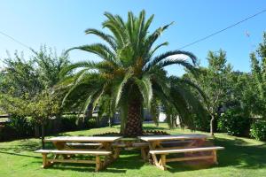 dos mesas de picnic bajo una palmera en un parque en Villa El Martín en Naves
