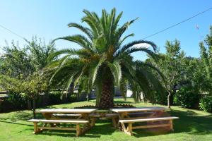 two picnic tables under a palm tree in a park at Villa El Martín in Naves