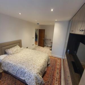 1 dormitorio con 1 cama y TV en una habitación en 64 Salmon Street en Londres