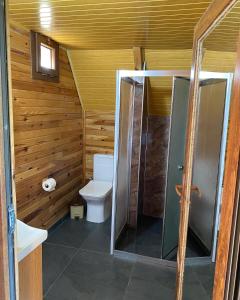 a small bathroom with a toilet and a shower at Vaveyladağevleri in Çamlıhemşin