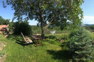 a picnic table and a bench under a tree at A Vidám Vándor Vendégház in Zalaszántó