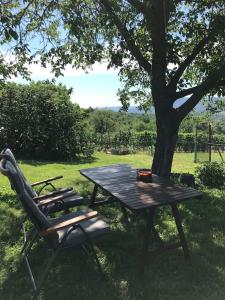 a picnic table and a chair next to a tree at A Vidám Vándor Vendégház in Zalaszántó