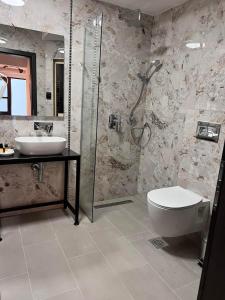 奧赫里德的住宿－Villa PUPIN，带淋浴、卫生间和盥洗盆的浴室