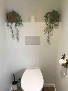 łazienka z toaletą i roślinami na ścianie w obiekcie Le Cocon du bourg d’Agon w mieście Agon-Coutainville