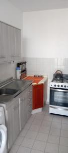 a kitchen with a stove and a sink in it at La Recova de La Boca in Buenos Aires