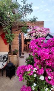 een tuin met roze en witte bloemen op een patio bij Riad Nirvana in Marrakesh