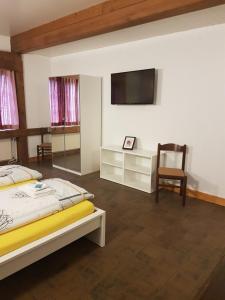 a bedroom with a bed and a tv and a chair at good bed Bettenhausen in Oberönz