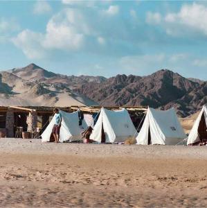 a group of tents on a beach in the desert at Blend in Nature Camp in Sharm El Sheikh