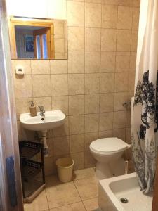 a bathroom with a toilet and a sink at Agroturystyka Muzyki in Ochotnica Górna