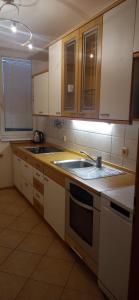 a kitchen with a sink and a stove at Apartma pri Boru in Ptuj