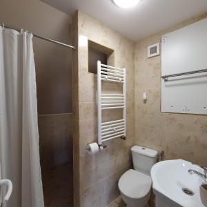 y baño con aseo, lavabo y ducha. en Lavender Apartments en Sînpetru