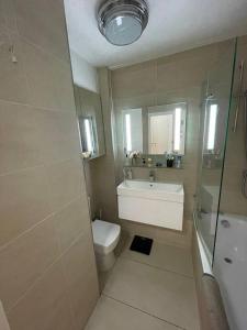 La salle de bains est pourvue d'un lavabo, de toilettes et d'une douche. dans l'établissement Refurbished central apartment, à Londres