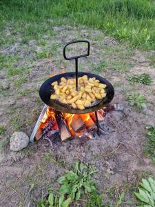 una parrilla con un montón de comida encima del fuego en Green Nest en Brezoi