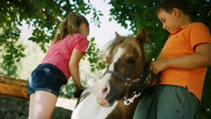 deux jeunes enfants debout à côté d'un cheval brun dans l'établissement Hotel Hubertusstube, à Laion