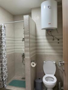 a small bathroom with a toilet and a shower at Apartmani Srećko in Žabljak