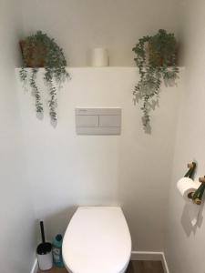 ein Bad mit WC und Pflanzen an der Wand in der Unterkunft Le Cocon du bourg d’Agon in Agon Coutainville