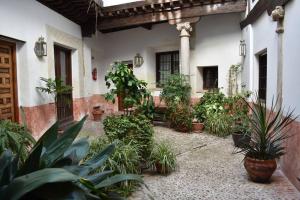 a courtyard with potted plants in a building at 15th Century Palace with Beautiful Private Terrace in Toledo