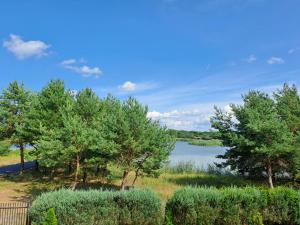 a view of the lake from the house at Dom nad jeziorem 