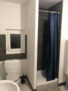 La salle de bains est pourvue de toilettes et d'une douche avec un rideau de douche bleu. dans l'établissement (B-2) bourgueil Studio N•2, à Bourgueil