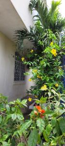a garden with yellow and orange flowers next to a building at CASA FRAGATA in Puerto Baquerizo Moreno