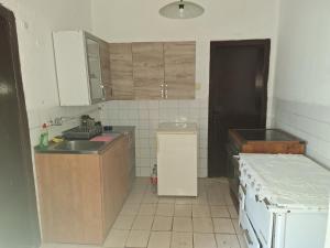 eine kleine Küche mit Spüle und Kühlschrank in der Unterkunft Kuća za odmor - MAJA in Kruševac