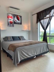- une chambre avec un grand lit et une fenêtre dans l'établissement Hermoso hogar con bbq y piscina en Punta Blanca, à Punta Blanca