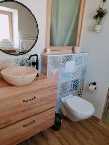 レ・ゼペスにあるLes Granges des Petits Couleursの洗面台、トイレ、鏡のあるバスルーム