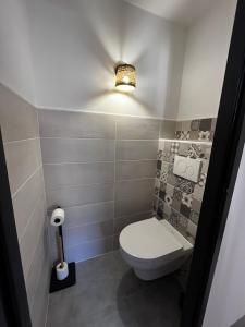 Baño pequeño con aseo y luz en La Patafiole Appartement T2 calme élégant en Pont-de-Barret