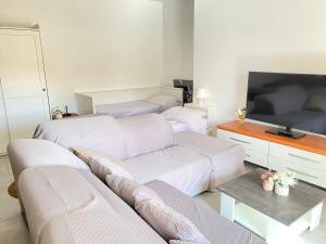 sala de estar con sofá y TV de pantalla plana en Orlandi Sun casa superficie 50 mq, en Sarnano