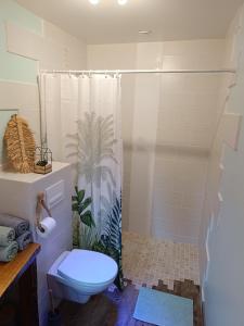 a bathroom with a toilet and a shower at Tente mongole " ô Rêves Atypiques" in Boucé