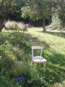 una silla sentada en el césped en un campo en Logement studio dans un coin paradisiaque 