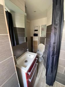 Baño pequeño con lavabo y aseo en La remise des Copains 2 chambres avec Clim OcKeys, en Limoux