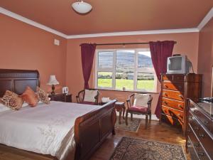 a bedroom with a bed and a tv and a window at Cappabhaile House in Ballyvaughan