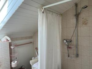 y baño con ducha y cortina de ducha. en Gemütliches Apartment für Messe, Job & Kurzurlaub im Grünen, Nähe Düsseldorf, en Meerbusch
