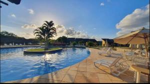 a swimming pool with chairs and a palm tree at Winterville 618 Flat Gravatá in Gravatá