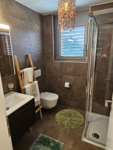 uma casa de banho com um WC com lavatório e um chuveiro em la perle des paccots em Châtel-Saint-Denis