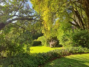einen Garten mit grünem Gras, Bäumen und Sträuchern in der Unterkunft Elvandar Country Cottage in Hilton