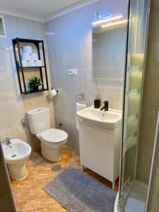 La salle de bains est pourvue de toilettes, d'un lavabo et d'un miroir. dans l'établissement Casa V&T Torremolinos, à Torremolinos