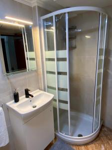 La salle de bains est pourvue d'une douche et d'un lavabo. dans l'établissement Casa V&T Torremolinos, à Torremolinos
