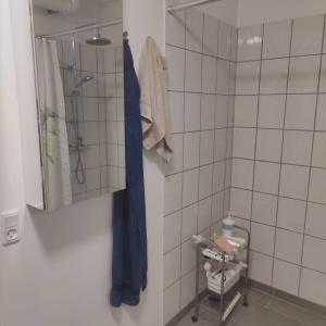 a bathroom with a shower with a blue robe at Værelse med seng og fælles arealer in Skovlunde