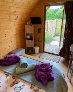 Zimmer mit einem Bett und einer Glasschiebetür in der Unterkunft luxury pod with hot tub in Clodock