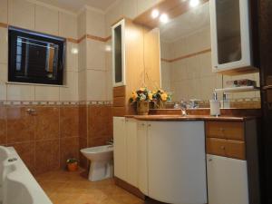 a bathroom with a sink and a toilet at Apartment Mira in Senj